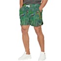 Peacock Paradise Jungle Men s Runner Shorts View3