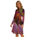 Paisley Pattern, Abstract Colorful, Texture Background, Hd Long Sleeve Shirt Collar A-Line Dress View2