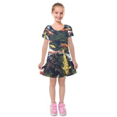 Koi Pond 3d Fish Kids  Short Sleeve Velvet Dress by Grandong