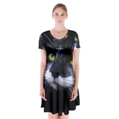 Face Black Cat Short Sleeve V-neck Flare Dress by Ket1n9