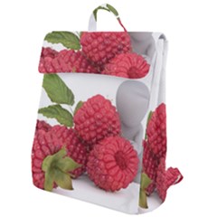 Fruit-healthy-vitamin-vegan Flap Top Backpack by Ket1n9