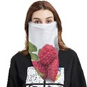 Fruit-healthy-vitamin-vegan Face Covering Bandana (Triangle) View1