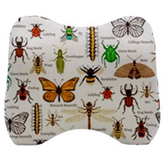 Insects-seamless-pattern Velour Head Support Cushion by Amaryn4rt