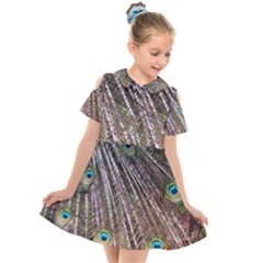 Peacock-feathers-pattern-colorful Kids  Short Sleeve Shirt Dress by Amaryn4rt