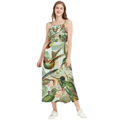 Humming Birds Trochilidae Boho Sleeveless Summer Dress by Pakjumat