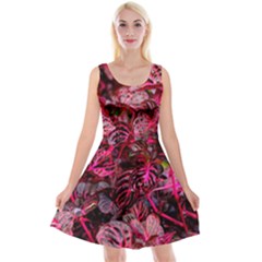 Red Leaves Plant Nature Leaves Reversible Velvet Sleeveless Dress by Sarkoni