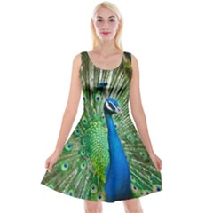 Peafowl Peacock Reversible Velvet Sleeveless Dress by Sarkoni