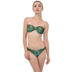 Peafowl Peacock Classic Bandeau Bikini Set by Sarkoni