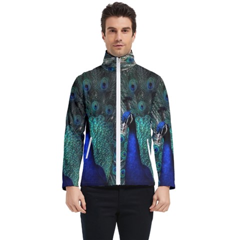 Blue And Green Peacock Men s Bomber Jacket by Sarkoni