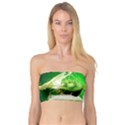 Kiwi Fruit Vitamins Healthy Cut Bandeau Top View1