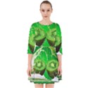 Kiwi Fruit Vitamins Healthy Cut Smock Dress View1