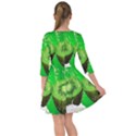 Kiwi Fruit Vitamins Healthy Cut Smock Dress View2