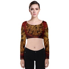 Light Picture Cotton Buds Velvet Long Sleeve Crop Top by Amaryn4rt