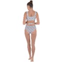 Zebra Wildlife Animal Mammal Bandaged Up Bikini Set  View2