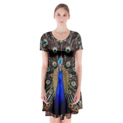 Peacock Short Sleeve V-neck Flare Dress by Ket1n9