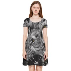 Angry Male Lion Roar Wild Animal Inside Out Cap Sleeve Dress by Cendanart