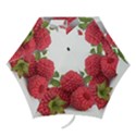 Fruit Healthy Vitamin Vegan Mini Folding Umbrellas View1