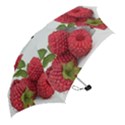 Fruit Healthy Vitamin Vegan Mini Folding Umbrellas View2