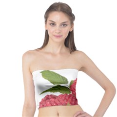 Fruit Healthy Vitamin Vegan Tube Top by Ket1n9