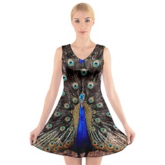 Peacock V-neck Sleeveless Dress by Ket1n9