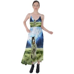 Astronaut Tie Back Maxi Dress by Ket1n9