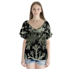 Weave Haeckel Lichenes Photobionten V-neck Flutter Sleeve Top by Cemarart