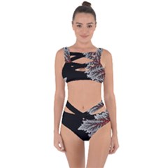 Silhouette Of Aurora Borealis Bandaged Up Bikini Set 