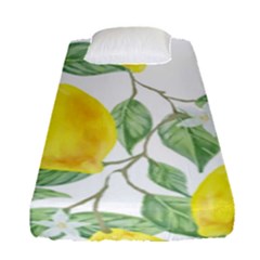 Fruit-2310212 Fitted Sheet (single Size) by lipli