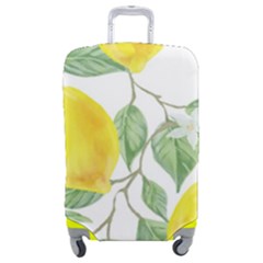 Fruit-2310212 Luggage Cover (medium) by lipli