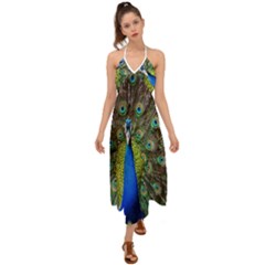 Peacock Bird Feathers Pheasant Nature Animal Texture Pattern Halter Tie Back Dress  by Bedest