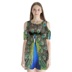 Peacock Bird Feathers Pheasant Nature Animal Texture Pattern Shoulder Cutout Velvet One Piece by Bedest