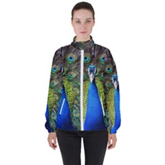 Peacock Bird Feathers Pheasant Nature Animal Texture Pattern Women s High Neck Windbreaker by Bedest