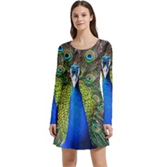 Peacock Bird Feathers Pheasant Nature Animal Texture Pattern Long Sleeve Velour Skater Dress by Bedest