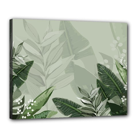 Banana Leaf Plant Pattern Canvas 20  X 16  (stretched) by anzea