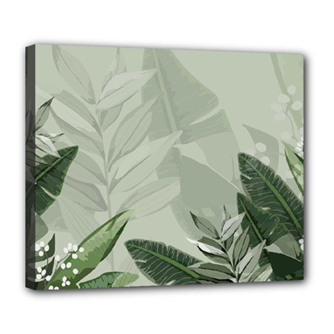 Banana Leaf Plant Pattern Deluxe Canvas 24  X 20  (stretched) by anzea