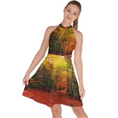 Forest Woods Autumn Nature Sleeveless Halter Neck A-line Dress by Proyonanggan