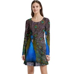 Bird Peacock Feathers Long Sleeve Velour Skater Dress by Perong