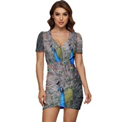 Peacock Bird Animal Peafowl Low Cut Cap Sleeve Mini Dress by Perong