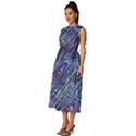 Peacock Bird Feathers Coloured Plumage Sleeveless Round Neck Midi Dress View2