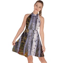 White Birch Trees Autumn Sleeveless Halter Neck A-line Dress by Perong