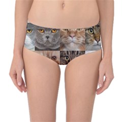 Breeds Of Cats Collage Mid-waist Bikini Bottoms by kyorashop23