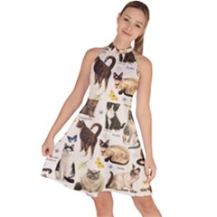 Cats, All, Collage, Cat Sleeveless Halter Neck A-line Dress by kyorashop23