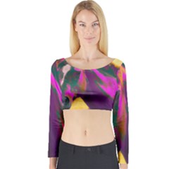 Vibrant Abstract Equine Art Long Sleeve Crop Top by ExtraAwesomeSauce