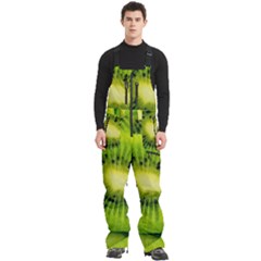 Kiwi Fruits, Close-up, Exotic Fruit Men s Front Zip Ski And Snowboard Bib Pants by kyorashop23