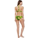 Kiwi Fruits, Close-up, Exotic Fruit Banded Triangle Bikini Set View4