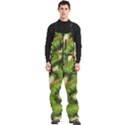 Kiwi Texture, Background With Kiwi, Fruits, Kiwi Men s Front Zip Ski And Snowboard Bib Pants View1