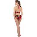 Strawberry, Berries, Fresh, Red Halter Side Cut Swimsuit View2