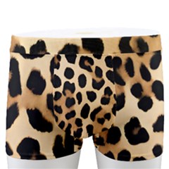 Leopard Men s Boxer Briefs by pollyparadiseartshop