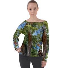 Patagonian Forest Trees Close-up, Rio Negro Province, Patagonia, Argentina Off Shoulder Long Sleeve Velour Top by dflcprintsclothing