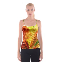 Leaves Plant Pattern Croton Nature Spaghetti Strap Top by Sabxi